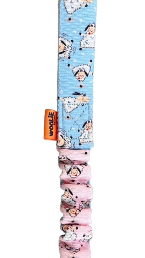 Stwórz swój szarpak pleciony dla małych piesków z dwukolorowym futrem