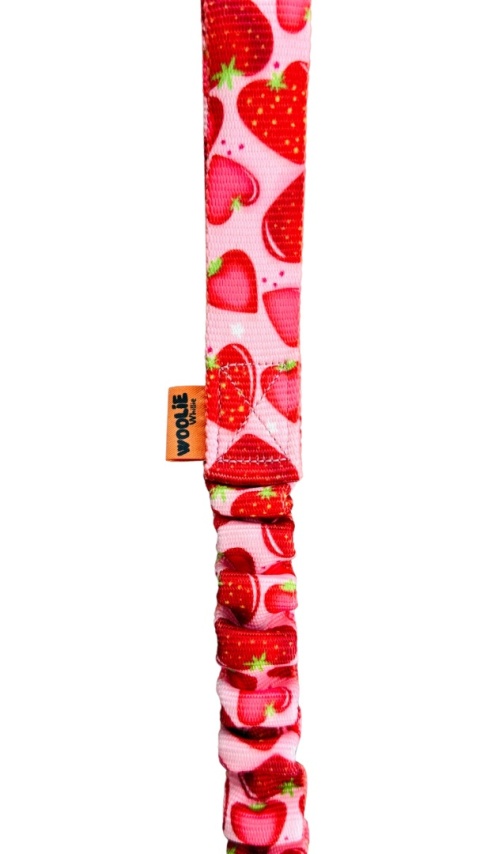 Stwórz swój szarpak pleciony dla małych piesków z dwukolorowym futrem