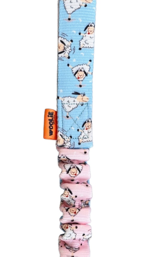 Stwórz swój szarpak pleciony dla małych piesków