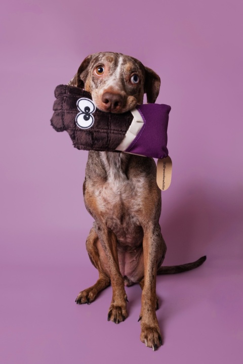 Chooco - zabawka węchowa z piszczałką czekolada