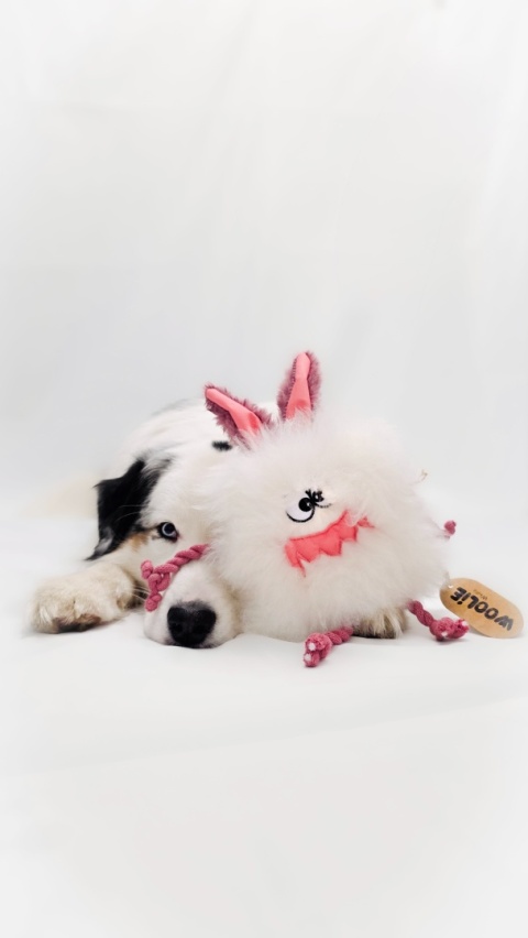 Moonster - zabawka ze skóry owczej z piszczałką potworek