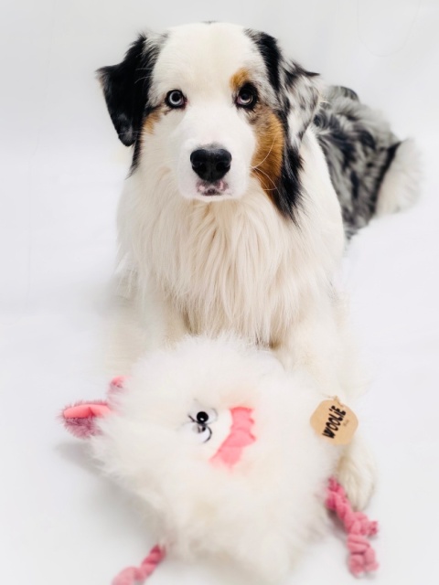 Moonster - zabawka ze skóry owczej z piszczałką potworek