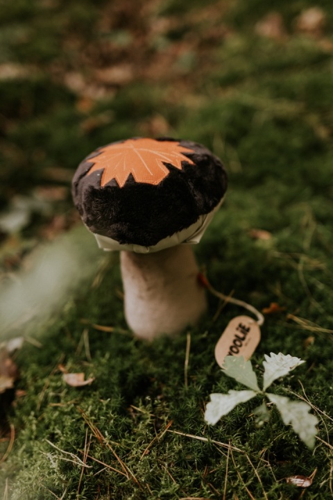 Poodgrzybek - zabawka węchowa grzybek