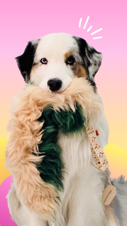 Stwórz swój szarpak pleciony z Doogwartu SUPER OKAZJA